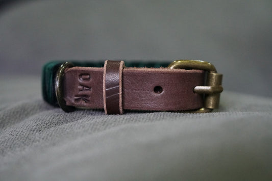 Coleira Verde & Preto