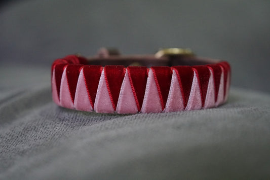 Coleira Rosa & Bordeaux