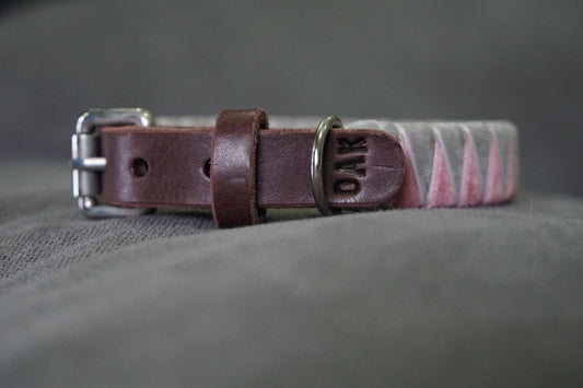 Coleira Rosa & Cinzento
