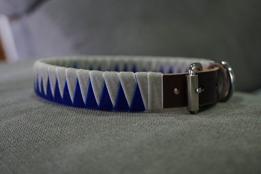 Coleira Azul & Cinzento