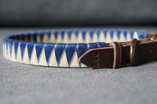 Coleira Azul & Creme