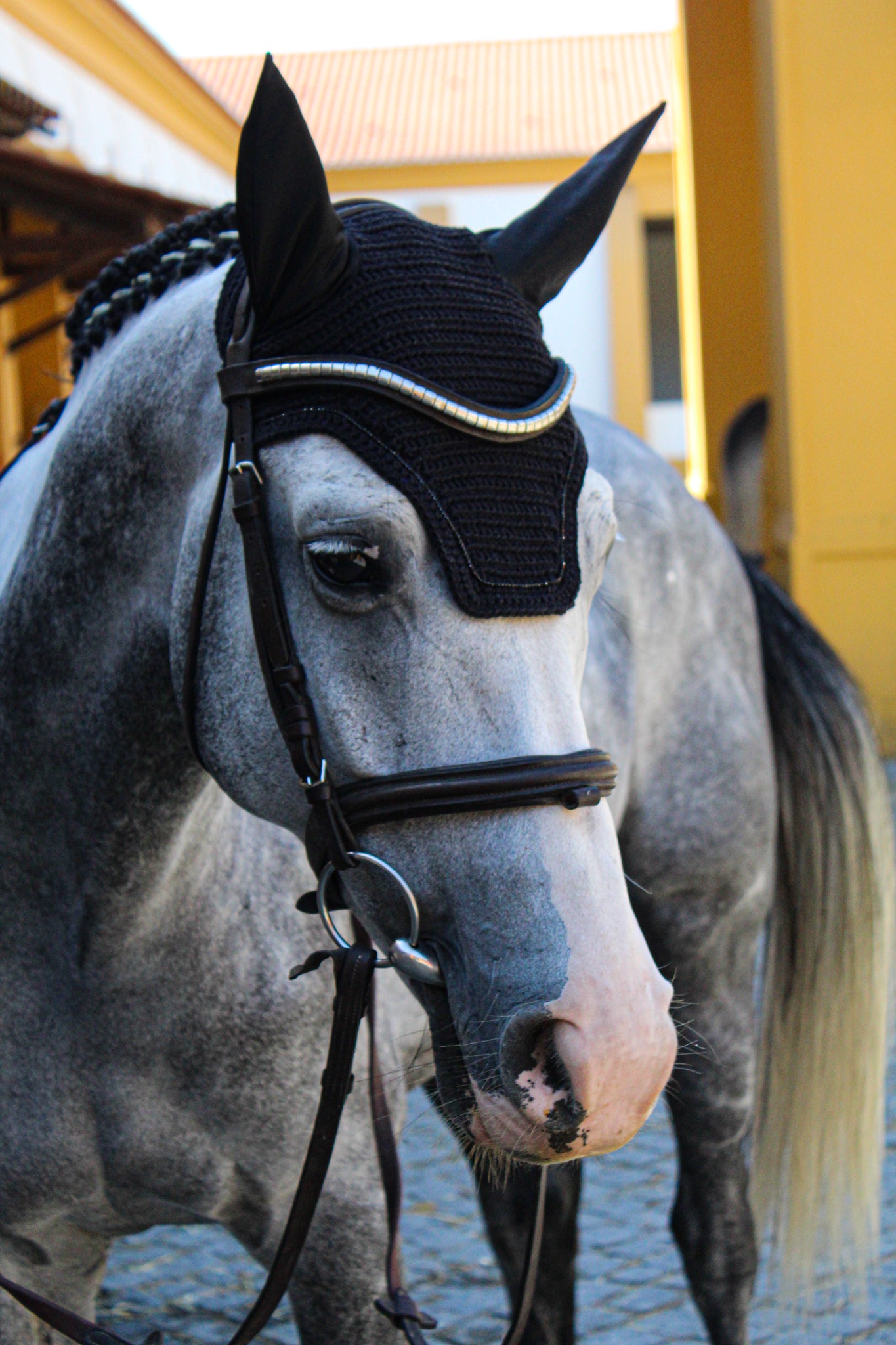 Bonnet Insua (noir + cristaux noirs)