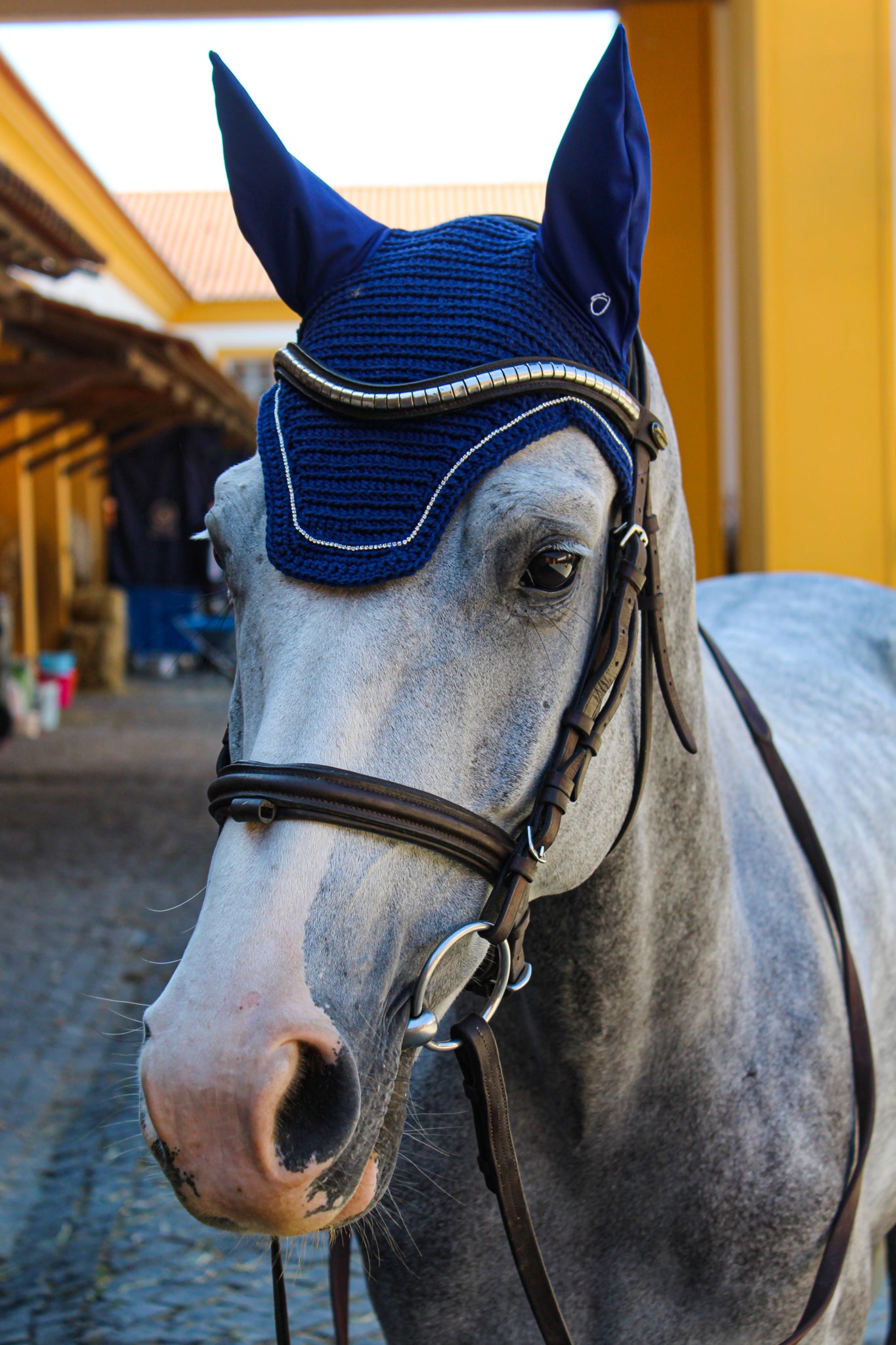 Orelheiras Insua (Azul + Cristais)